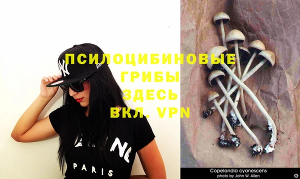 спайс Абдулино