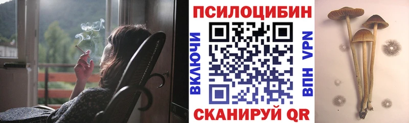Псилоцибиновые грибы мицелий  наркошоп  Симферополь 