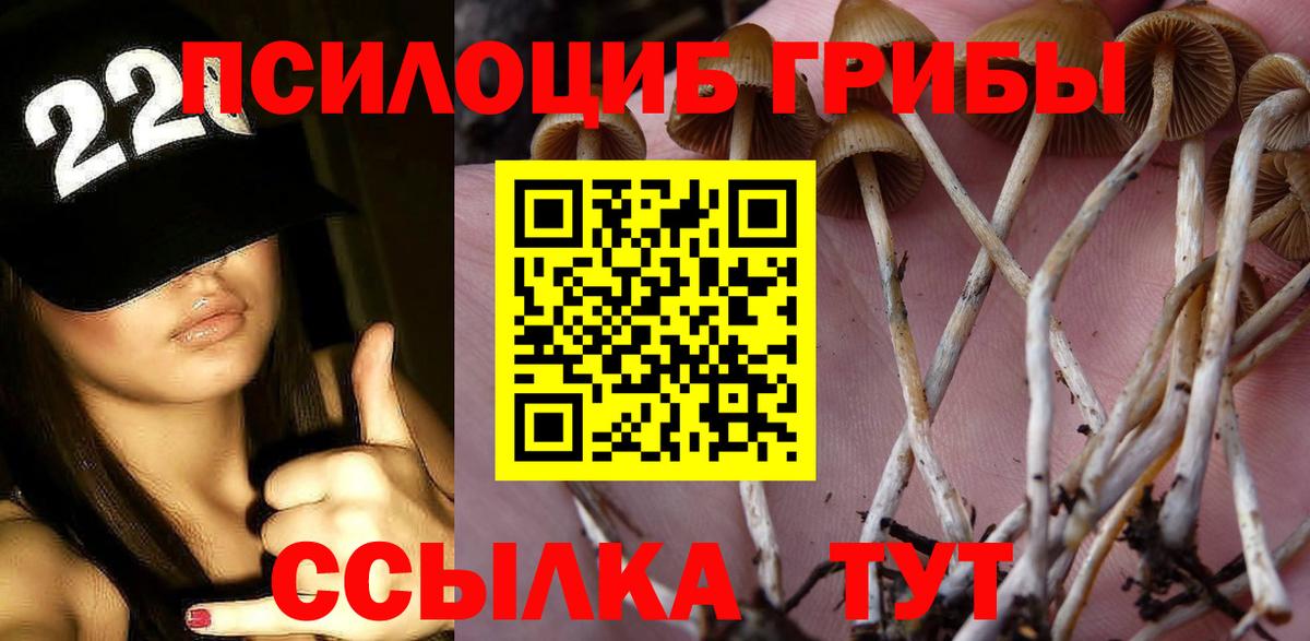 Псилоцибиновые грибы Magic Shrooms  Вход с VPN  Симферополь 